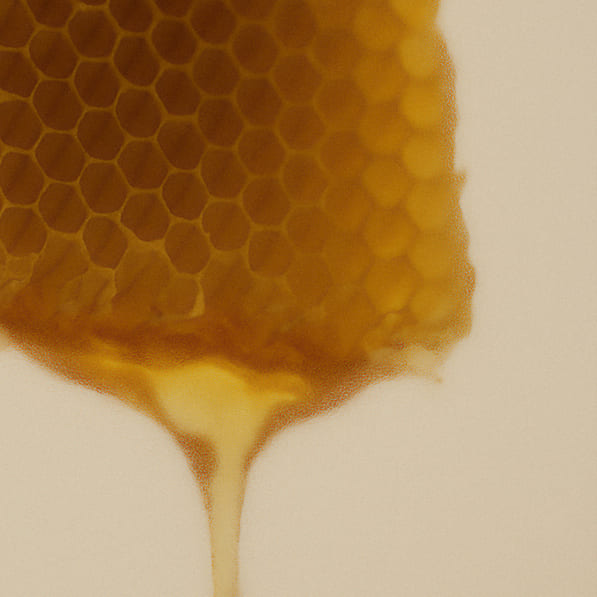 Beeswax vs Soy vs Paraffin Candles: The Complete Guide