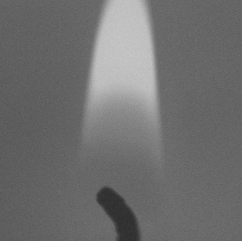 The Forgotten Ingredient: How Beeswax Became a Rarity in Modern Candles